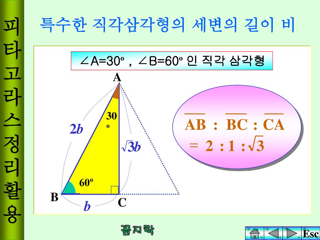 피 타 고 라 스 정 리 활 용 특수한 직각삼각형의 세변의 길이 비 3 : 1 2 = CA BC AB 2b 3 b