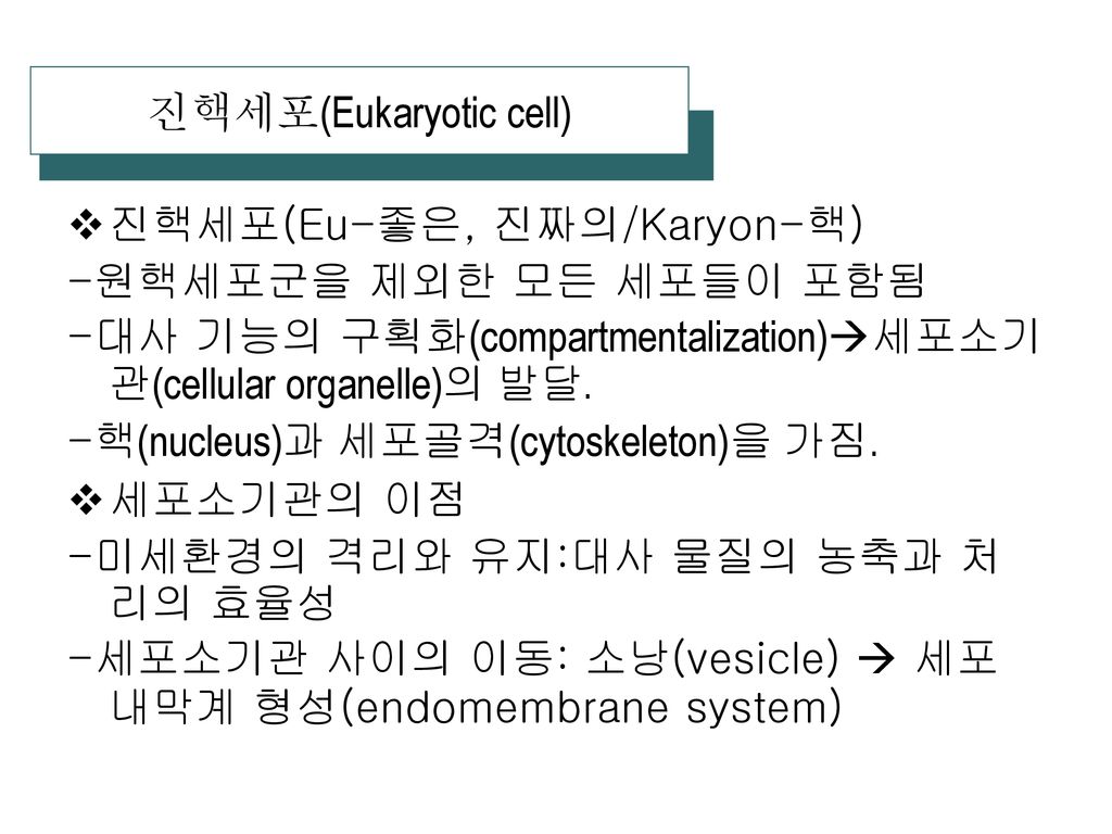 진핵세포(Eukaryotic cell)