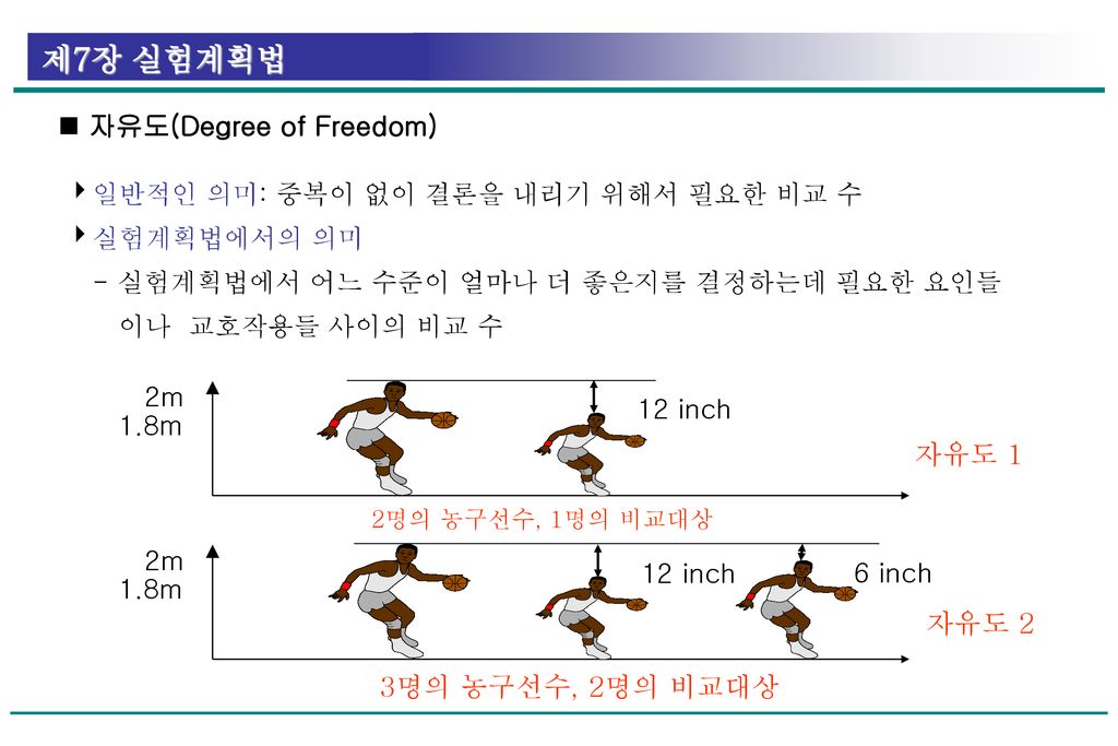  자유도(Degree of Freedom)