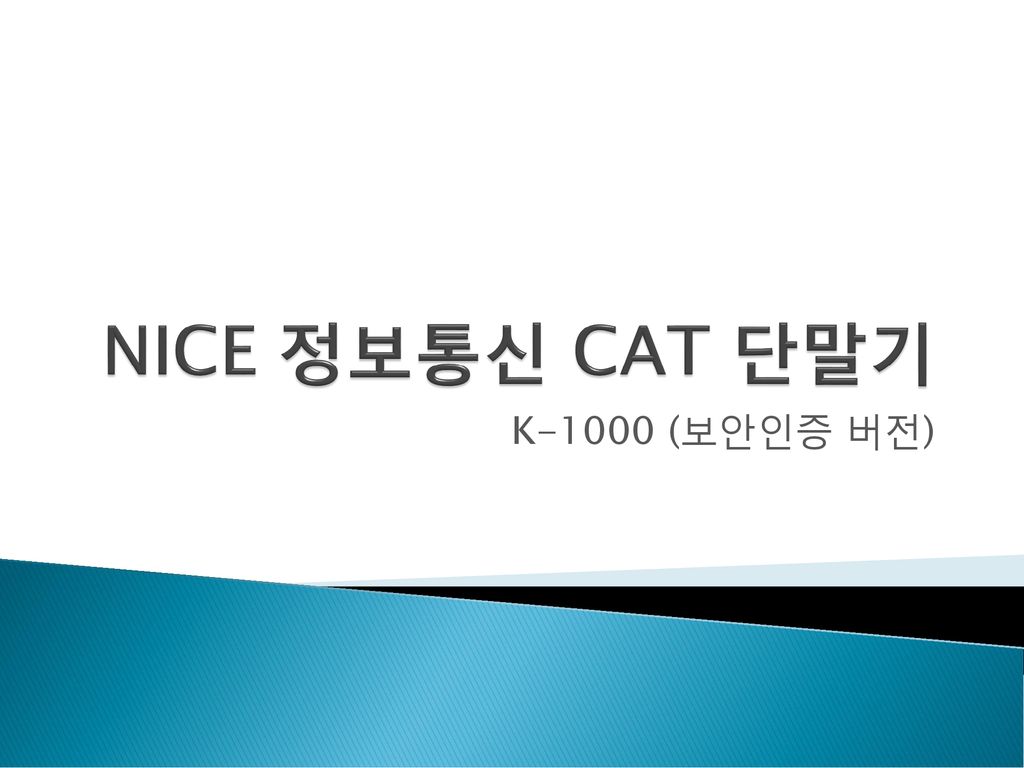 NICE 정보통신 CAT 단말기 K-1000 (보안인증 버전)