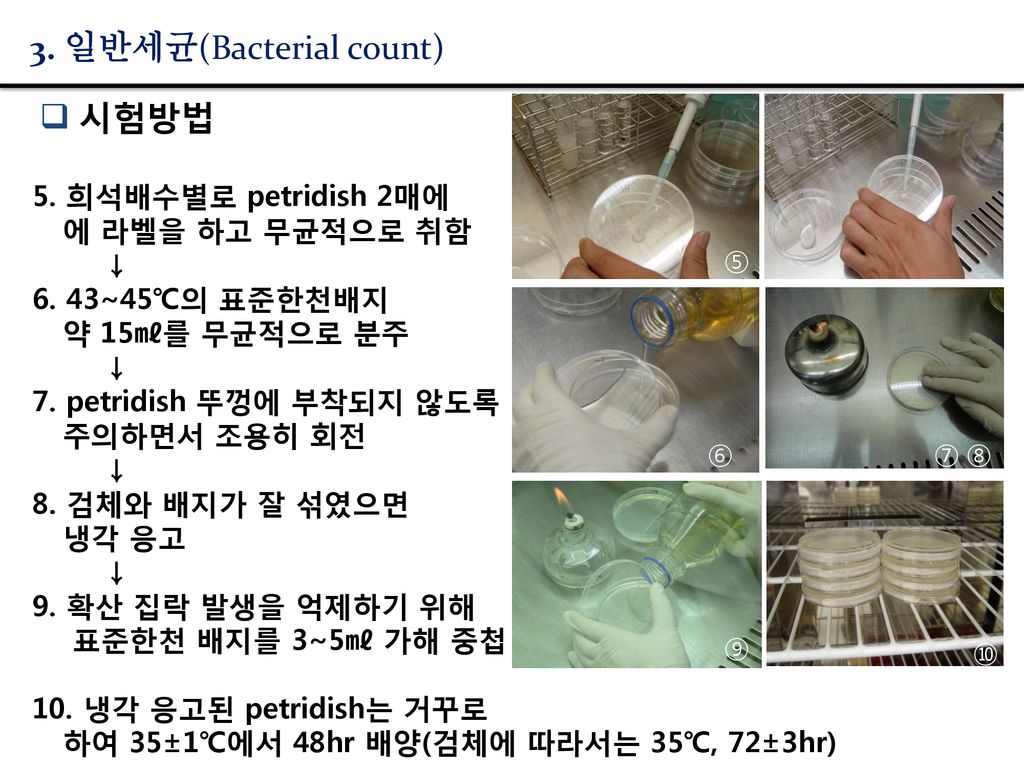 3. 일반세균(Bacterial count)