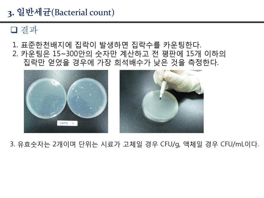 3. 일반세균(Bacterial count)
