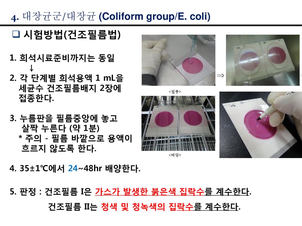 4. 대장균군/대장균 (Coliform group/E. coli)