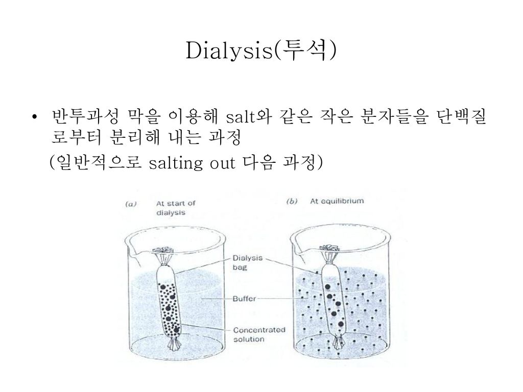 Dialysis(투석) 반투과성 막을 이용해 salt와 같은 작은 분자들을 단백질로부터 분리해 내는 과정