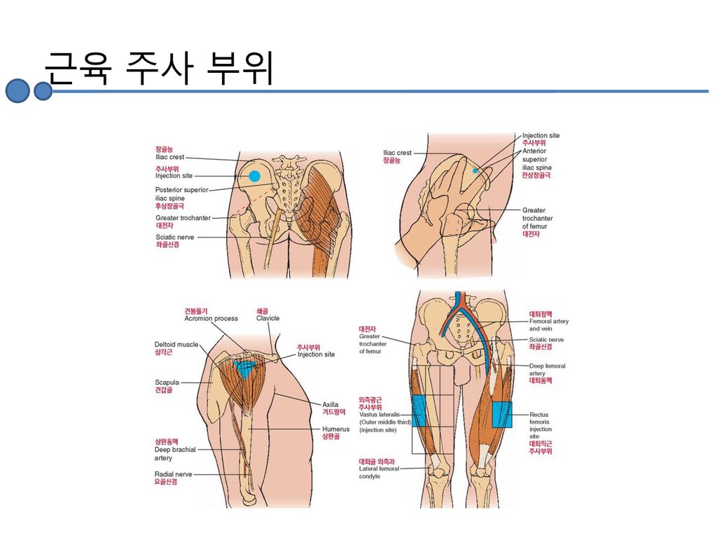 선택실습(1)-노인간호학실습. - Ppt Download