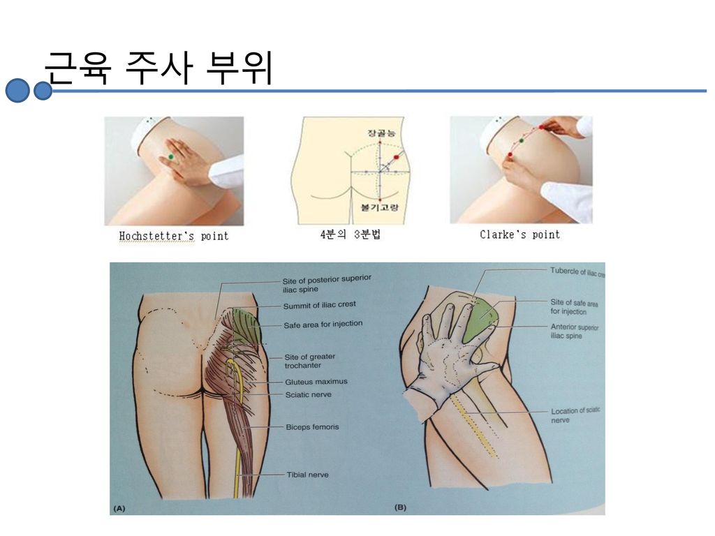 선택실습(1)-노인간호학실습. - Ppt Download